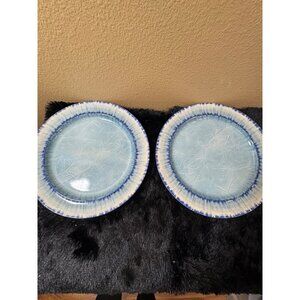 AELS Blue & White Crackle Glaze  Melamine Plates  11" Picnic  Set Of 4